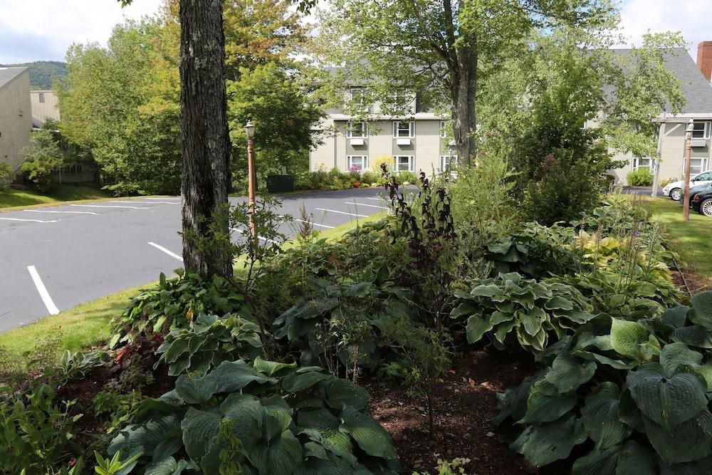 Silver Fox Inn Waterville Valley Bagian luar foto
