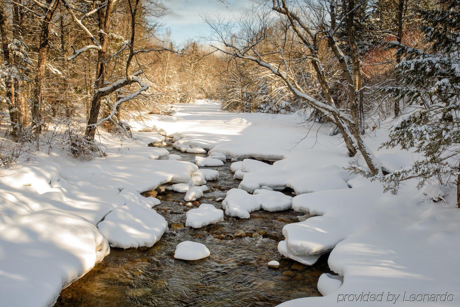 Silver Fox Inn Waterville Valley Bagian luar foto
