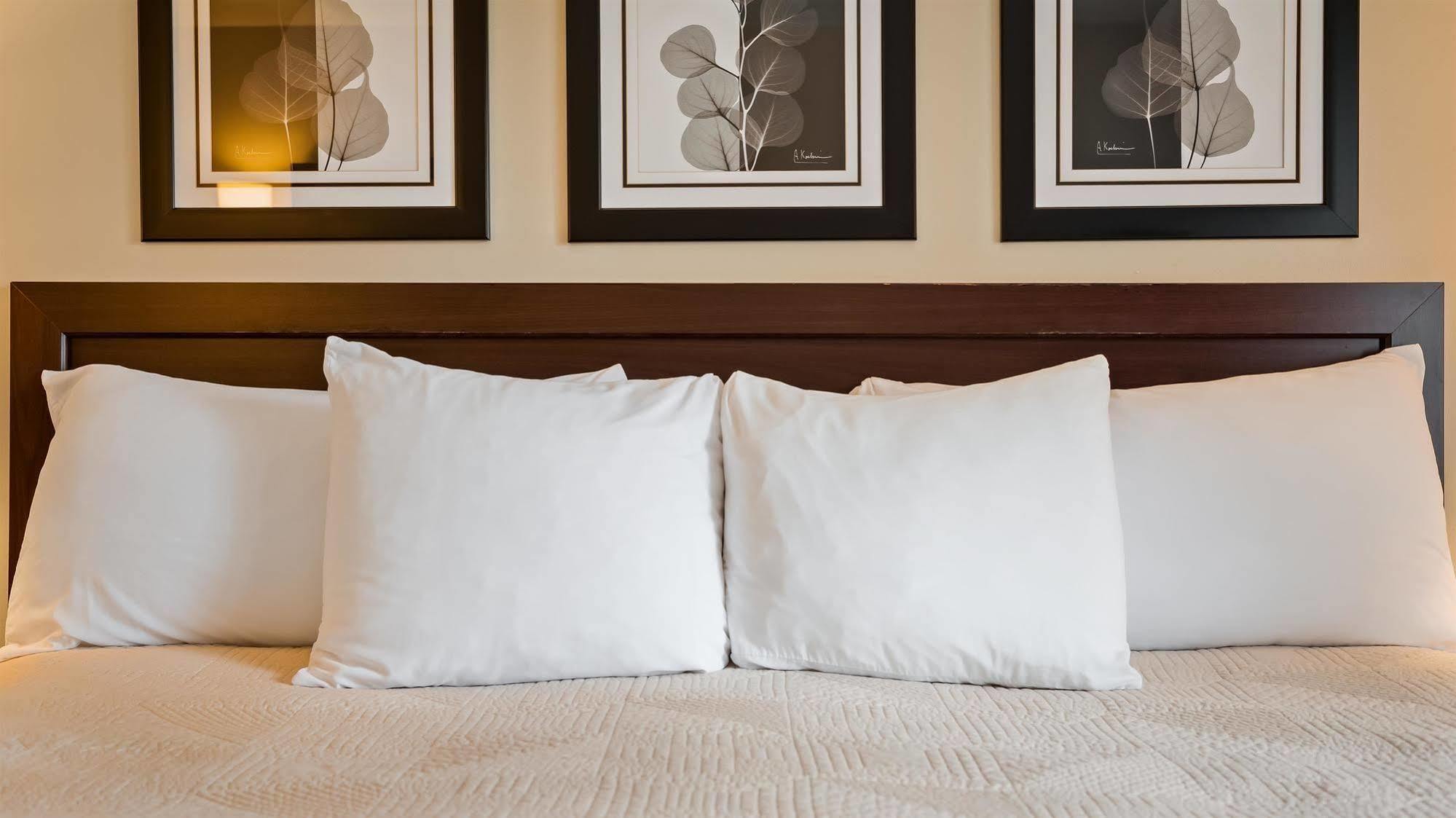Silver Fox Inn Waterville Valley Bagian luar foto